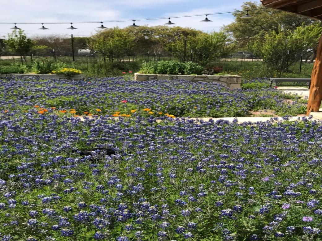 Hotel The Cedars Ranch Wimberley Exterior foto